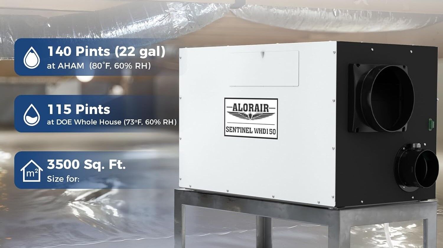 Florida Homeowners: How to Protect Your Home from Moisture Damage
